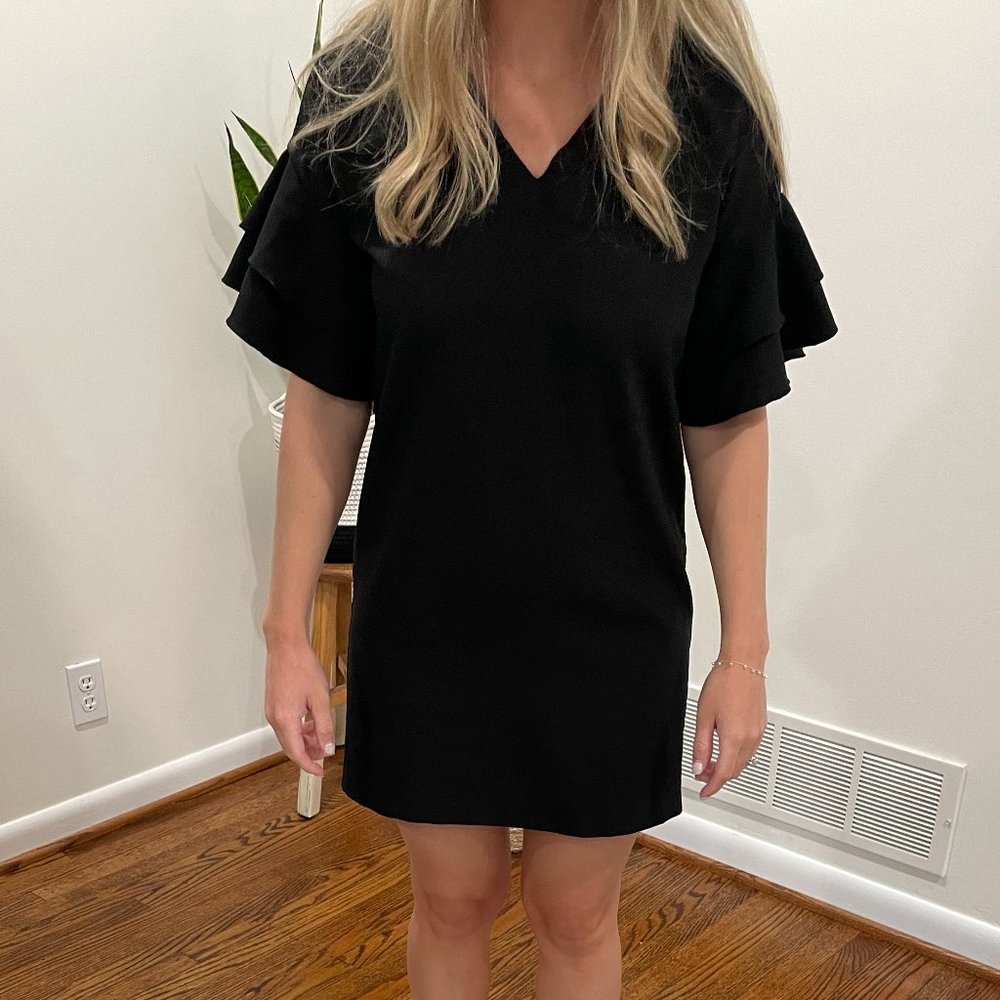Banana Republic Little Black Ruffle Sleeve Dress